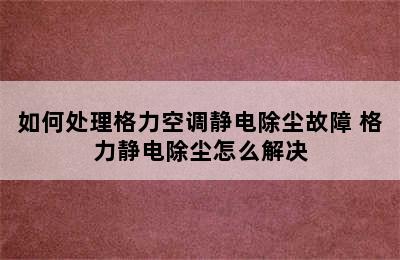 如何处理格力空调静电除尘故障 格力静电除尘怎么解决